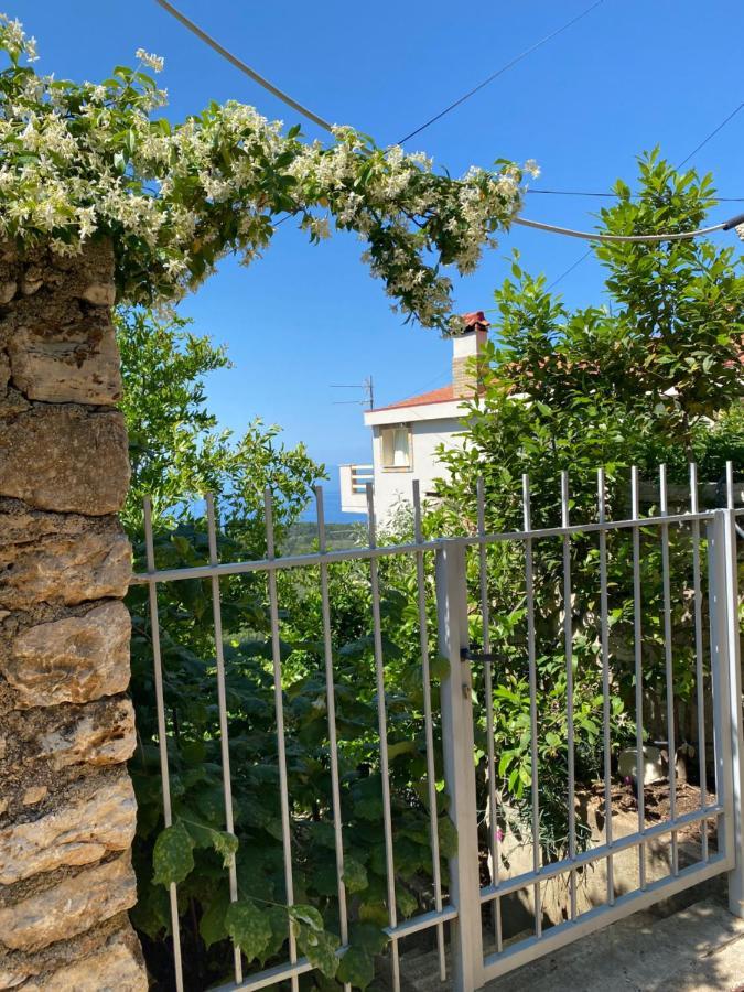 Vila Aleks Vuno Exterior photo